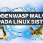 HiddenWasp malver napada Linux sisteme