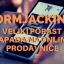 Formjacking – veliki porast napada na online prodavnice