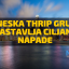 Kineska Thrip grupa nastavlja ciljane napade